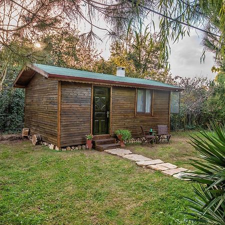 Goce Tartaruga Motel المظهر الخارجي الصورة