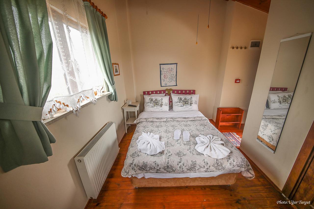 Goce Tartaruga Motel المظهر الخارجي الصورة