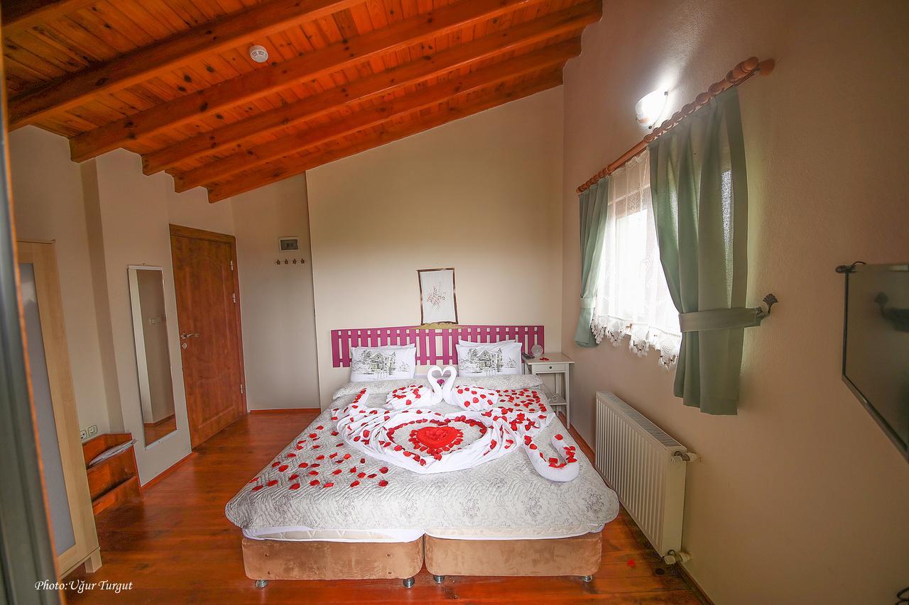 Goce Tartaruga Motel المظهر الخارجي الصورة