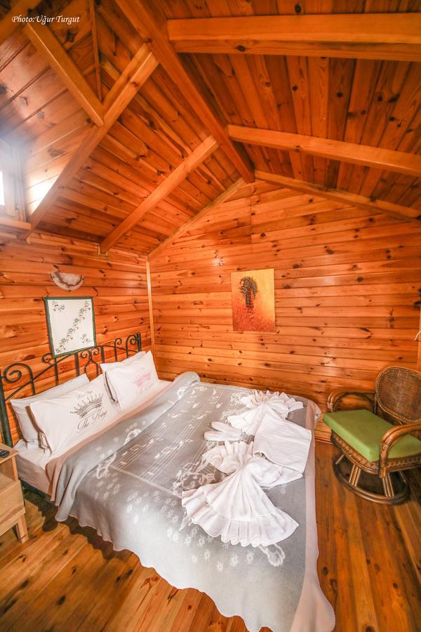 Goce Tartaruga Motel المظهر الخارجي الصورة