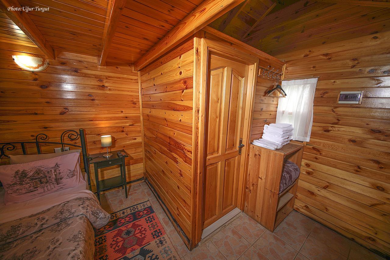 Goce Tartaruga Motel المظهر الخارجي الصورة