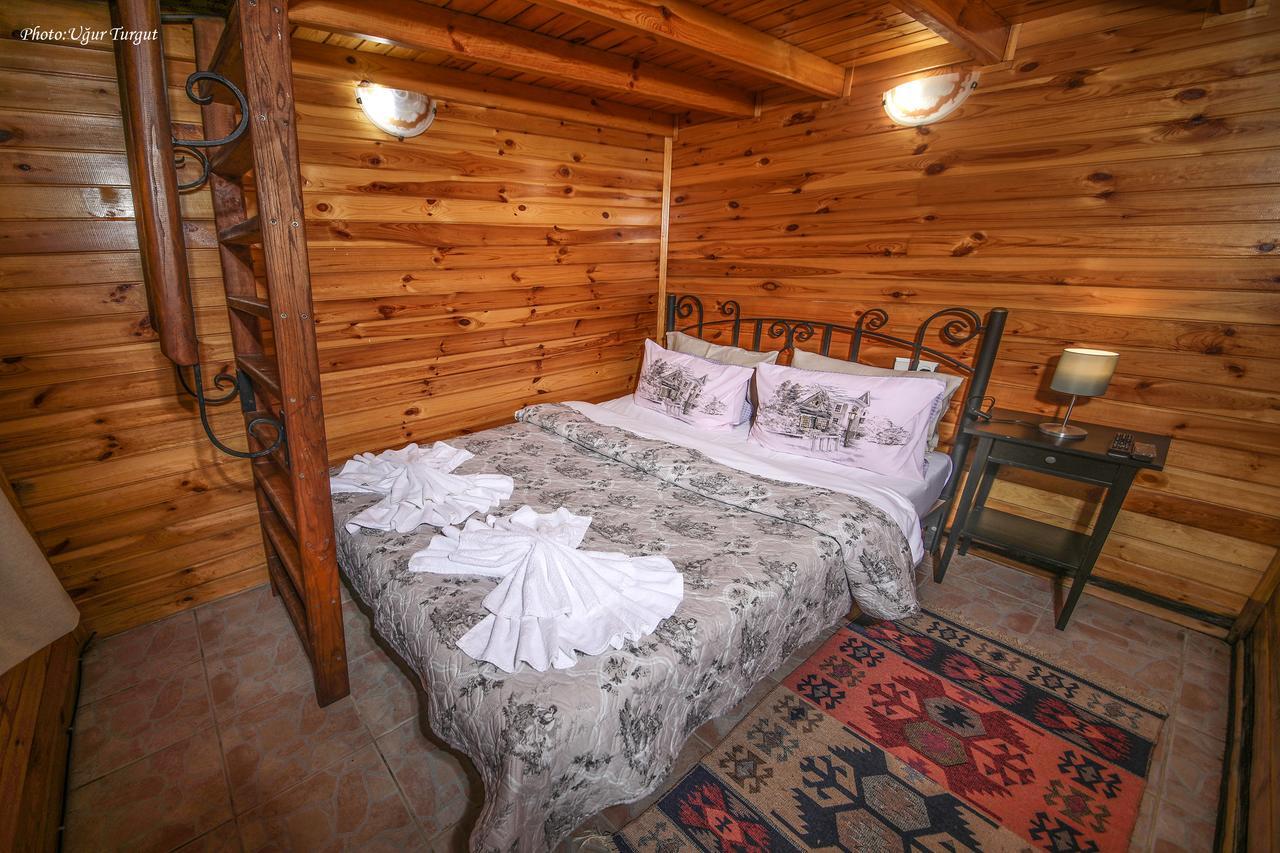 Goce Tartaruga Motel المظهر الخارجي الصورة