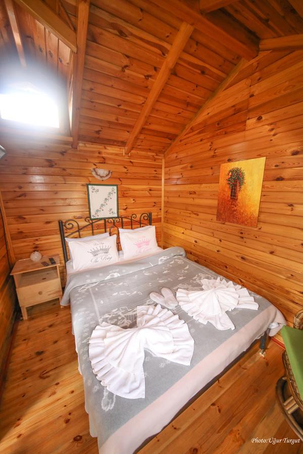 Goce Tartaruga Motel المظهر الخارجي الصورة